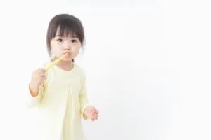 永久歯と乳歯の“ちがい”について